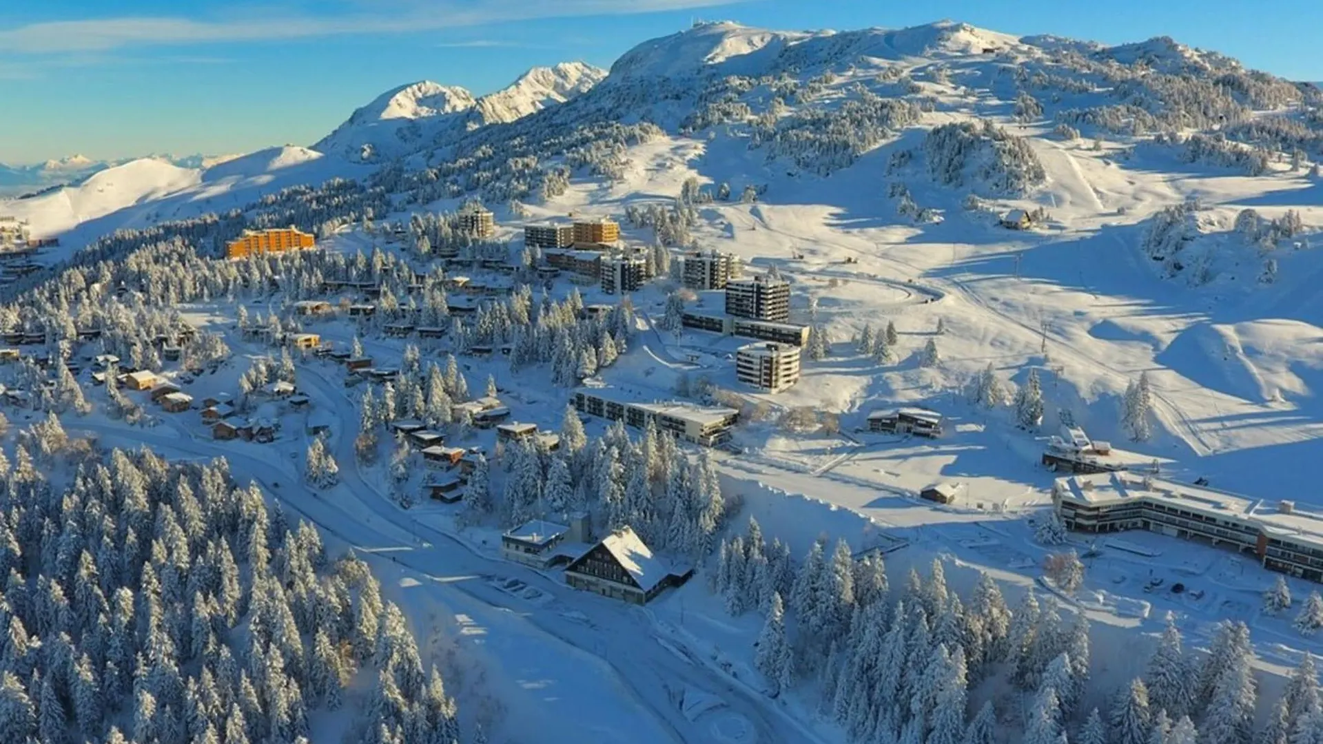 L’Edelweiss- Studio rénové pour 4 personnes ! Chamrousse